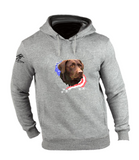 Chocolate Lab, patriotic, hoodie