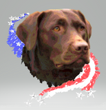 Chocolate Lab, patriotic, hoodie
