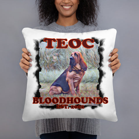 Teoc Bloodhounds Pillow