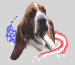 Basset Hound, patriotic ladies tee