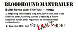 Definition, Bloodhound Mantrailer, Hoodie